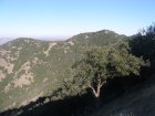 img016.jpeg.small.jpeg