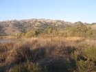img031.jpeg.small.jpeg