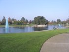img002.jpeg.small.jpeg