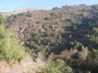 img005.jpeg.small.jpeg