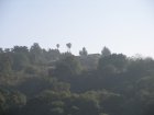 img008.jpeg.small.jpeg