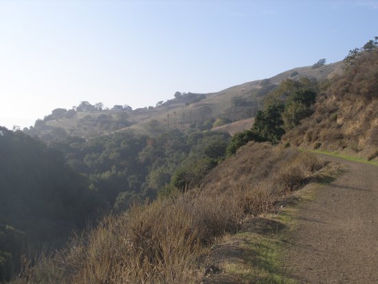 img009.jpeg.medium.jpeg