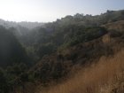 img012.jpeg.small.jpeg