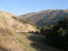 img023.jpeg.small.jpeg