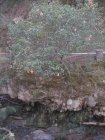 img036.jpeg.small.jpeg