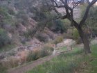 img038.jpeg.small.jpeg