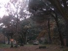 img041.jpeg.small.jpeg