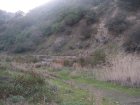 img042.jpeg.small.jpeg