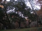 img043.jpeg.small.jpeg