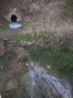 img044.jpeg.small.jpeg