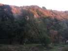 img046.jpeg.small.jpeg