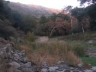 img048.jpeg.small.jpeg