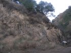 img051.jpeg.small.jpeg