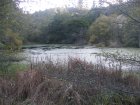 img003.jpeg.small.jpeg