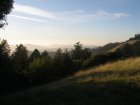 img005.jpeg.small.jpeg