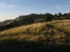 img006.jpeg.small.jpeg