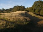 img007.jpeg.small.jpeg