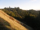 img014.jpeg.small.jpeg