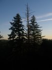 img017.jpeg.small.jpeg