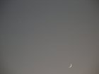 img024.jpeg.small.jpeg