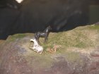 img023.jpeg.small.jpeg