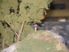 img024.jpeg.small.jpeg