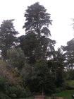 img001.jpeg.small.jpeg