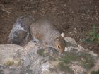 img003.jpeg.small.jpeg