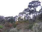 img010.jpeg.small.jpeg