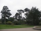 img011.jpeg.small.jpeg