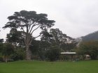 img012.jpeg.small.jpeg