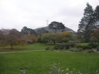 img015.jpeg.small.jpeg