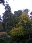 img022.jpeg.small.jpeg