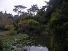 img023.jpeg.small.jpeg