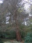 img024.jpeg.small.jpeg
