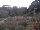 img025.jpeg.small.jpeg