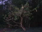 img033.jpeg.small.jpeg