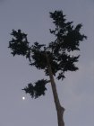 img039.jpeg.small.jpeg