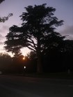 img040.jpeg.small.jpeg