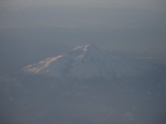 img013.jpeg.medium.jpeg