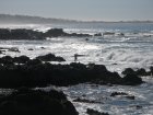 img026.jpeg.small.jpeg