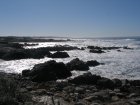 img029.jpeg.small.jpeg
