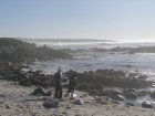 img055.jpeg.small.jpeg