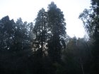 img000.jpeg.small.jpeg