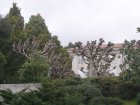 img002.jpeg.small.jpeg