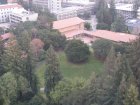 img007.jpeg.small.jpeg