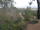 img033.jpeg.small.jpeg