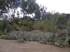 img035.jpeg.small.jpeg