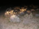 img000.jpeg.small.jpeg