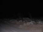 img002.jpeg.small.jpeg